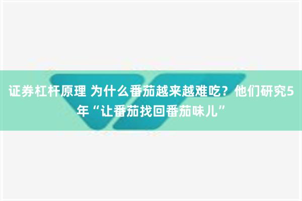 证券杠杆原理 为什么番茄越来越难吃？他们研究5年“让番茄找回番茄味儿”