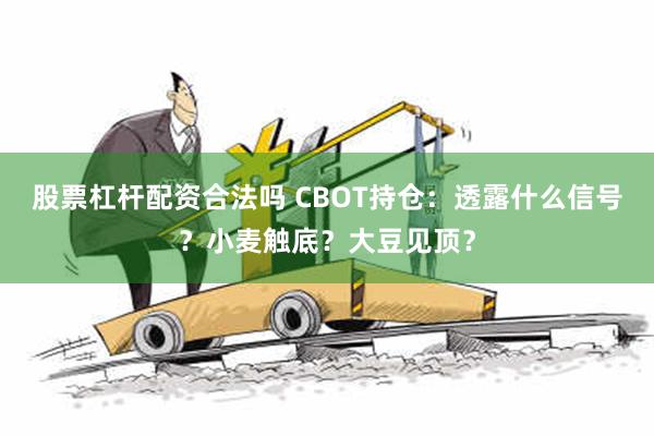 股票杠杆配资合法吗 CBOT持仓：透露什么信号？小麦触底？大豆见顶？