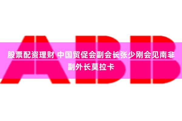 股票配资理财 中国贸促会副会长张少刚会见南非副外长莫拉卡