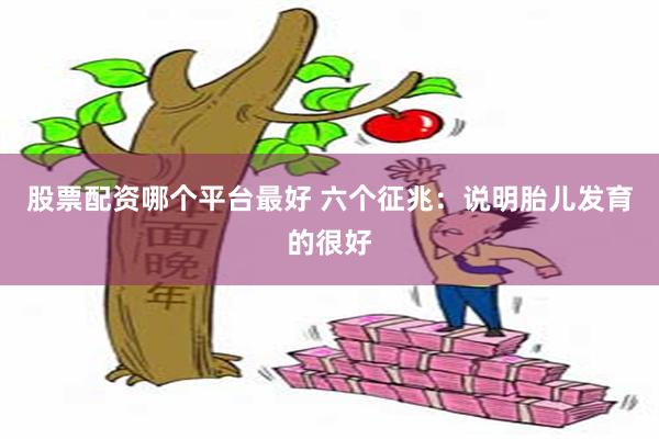 股票配资哪个平台最好 六个征兆：说明胎儿发育的很好