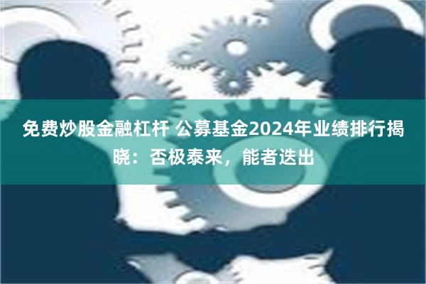 免费炒股金融杠杆 公募基金2024年业绩排行揭晓：否极泰来，能者迭出